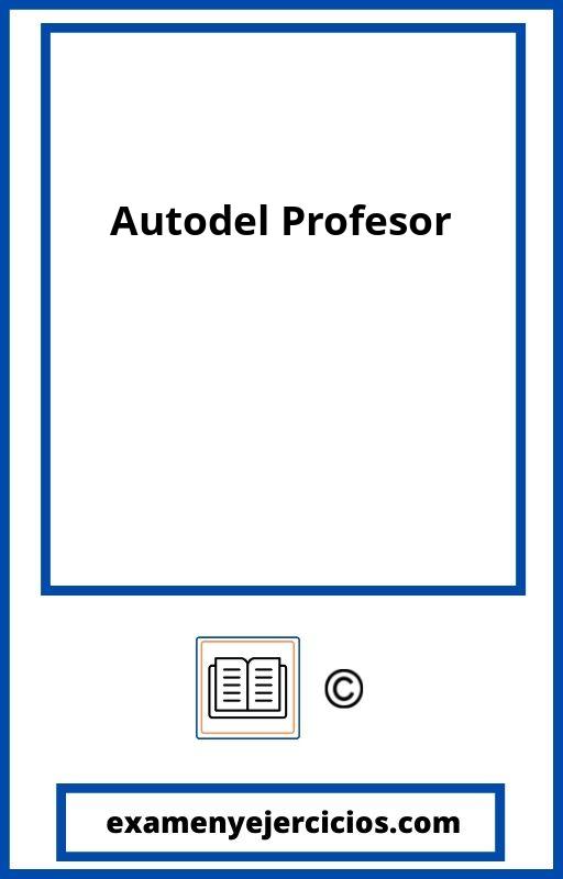 Autoevaluacion Del Profesor