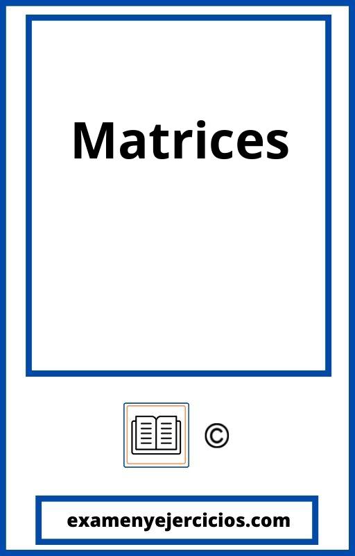 Ejercicios De Matrices