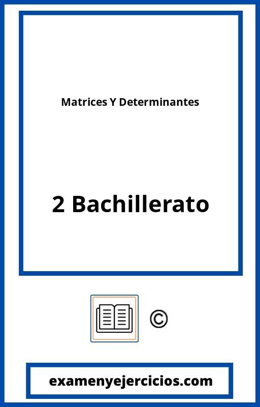 Ejercicios Matrices Y Determinantes 2 Bachillerato PDF