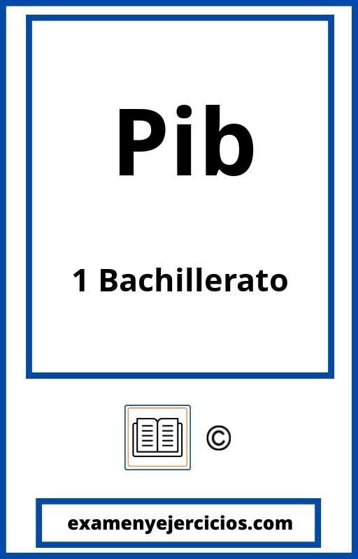 Ejercicios Resueltos Pib 1 Bachillerato