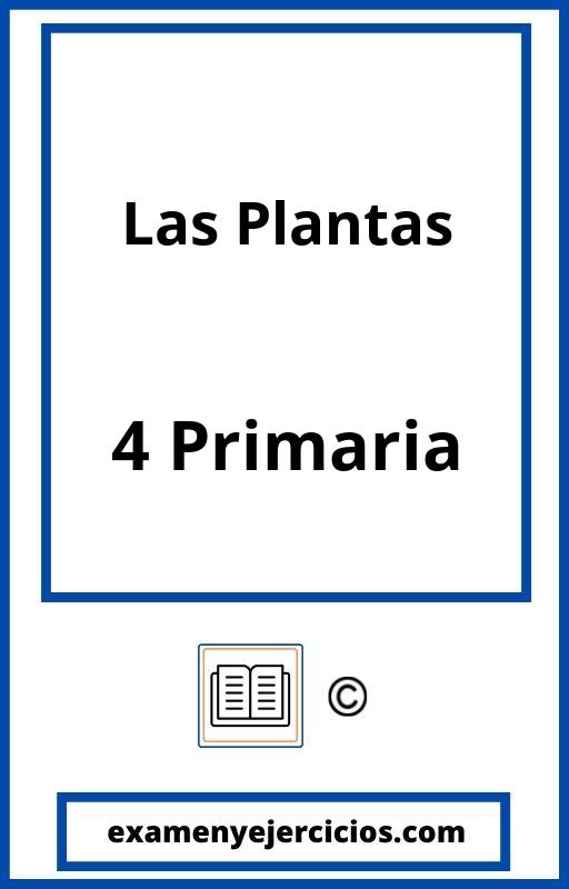 Examen Las Plantas 4 Primaria
