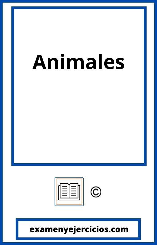 Ficha Animales Primaria