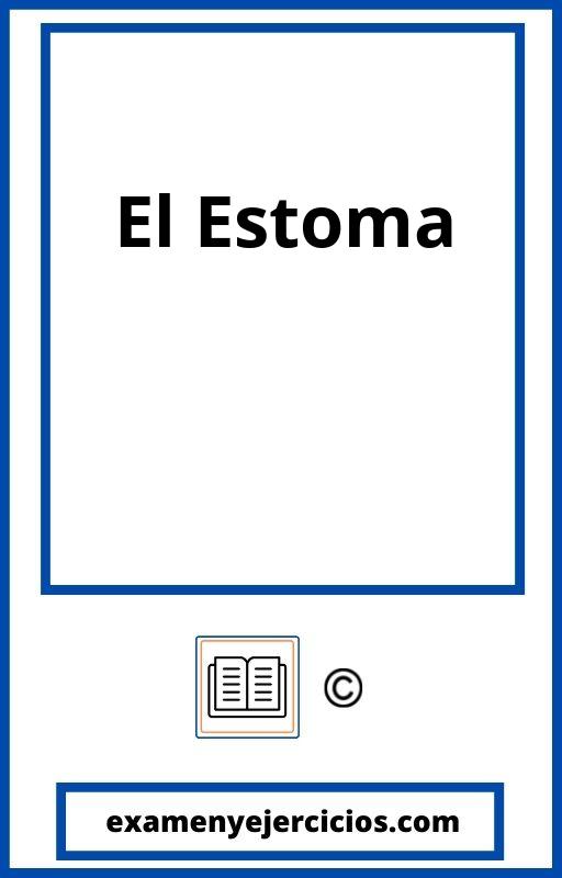 Problemas Con El Estoma